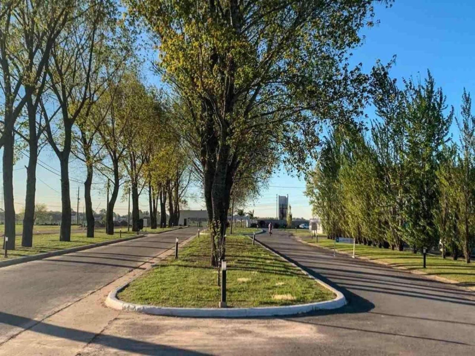 LOTE EN BARRIO PRIVADO LA ALAMEDA CANNING LOTE 215 ESQUINA A DOS CUADRAS DE LA LAGUNA — foto 8
