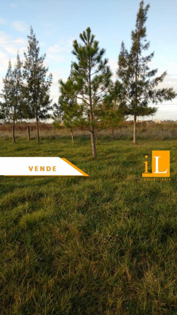 LOTES EN VENTA EN B° LAS ACACIAS SOBRE RUTA 210 - 1