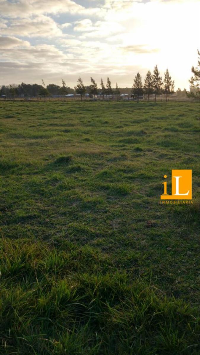 LOTES EN VENTA EN B° LAS ACACIAS SOBRE RUTA 210 - 5
