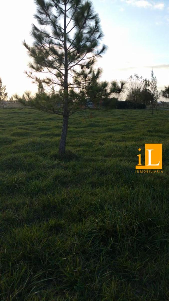 LOTES EN VENTA EN B° LAS ACACIAS SOBRE RUTA 210 - 6