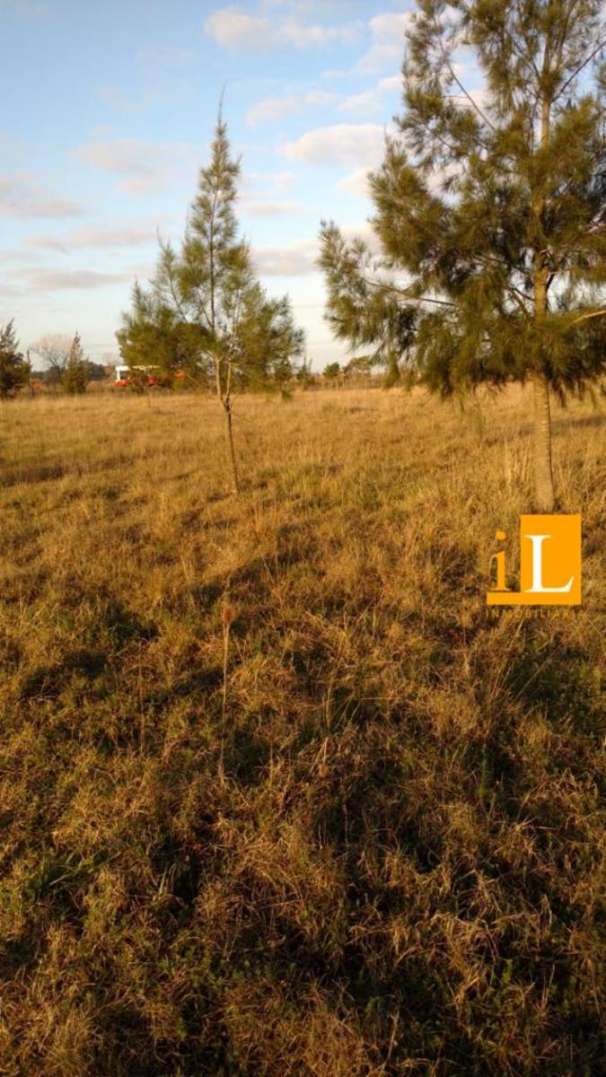 LOTES EN VENTA EN B° LAS ACACIAS SOBRE RUTA 210 - 7