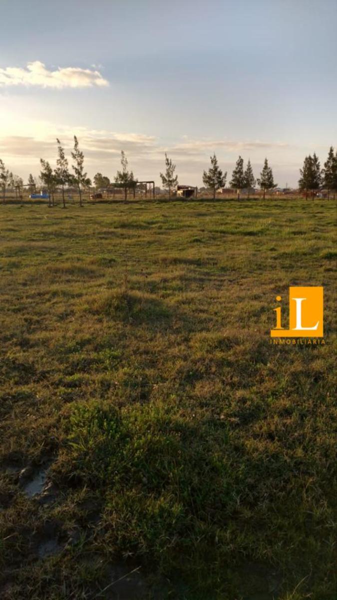 LOTES EN VENTA EN B° LAS ACACIAS SOBRE RUTA 210 - 8