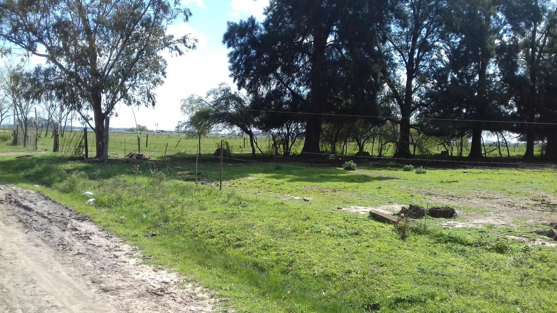 LOTE EN VENTA EN Bº LA PARADA - C/ ESCRITURA - 3