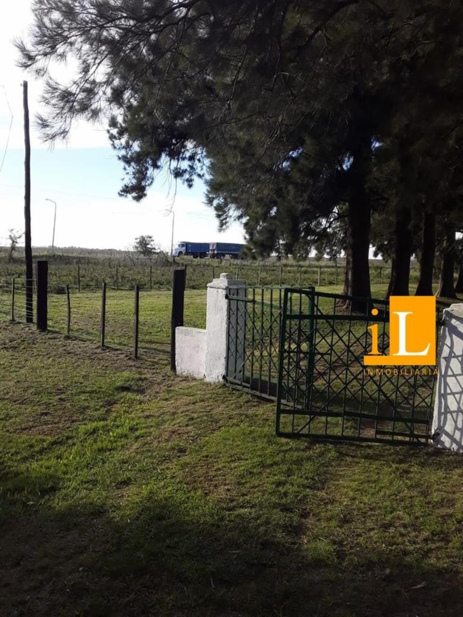 13 hectareas con mejoras en Loma Verde, sobre Ruta 215. - 4