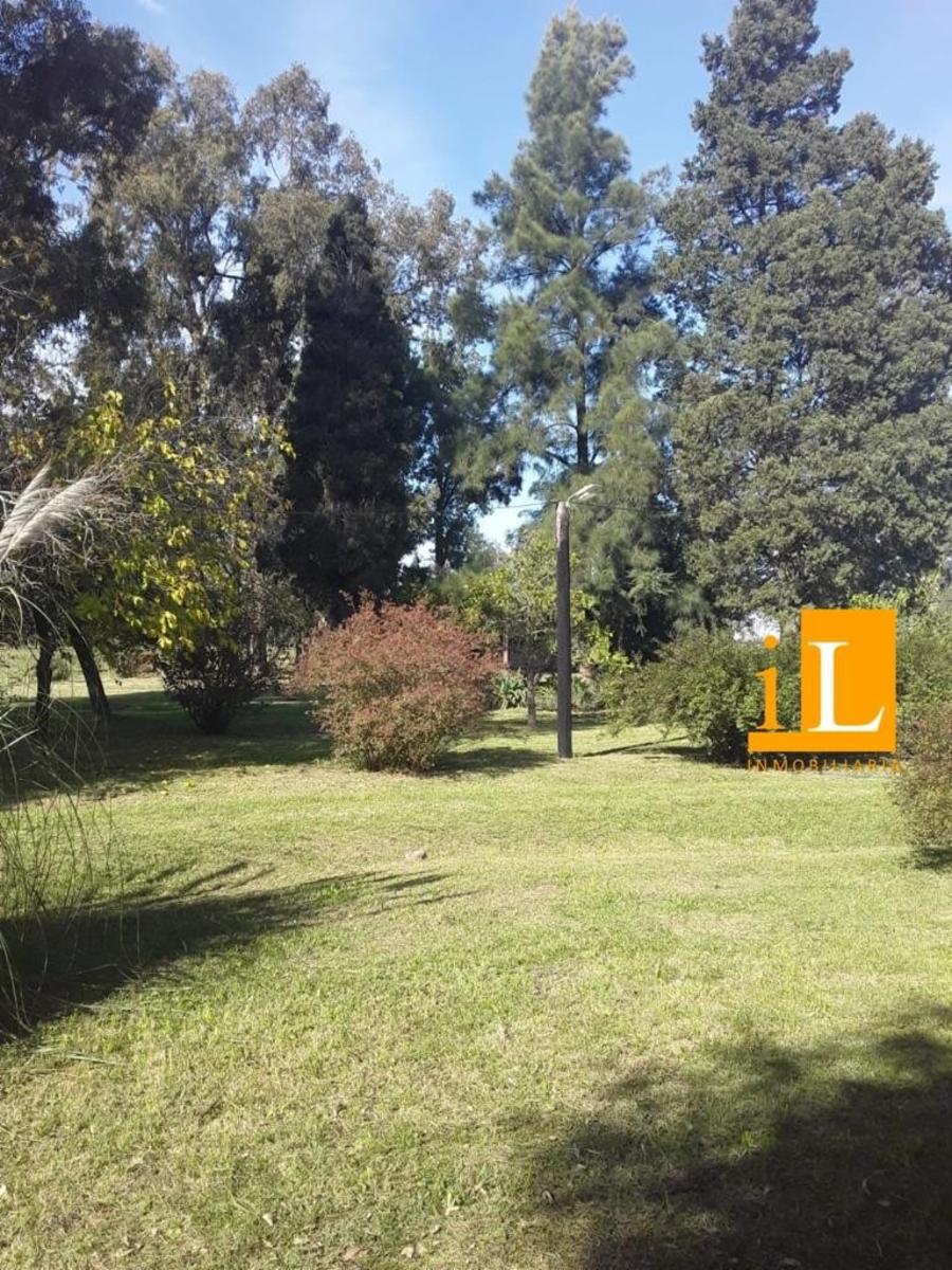 13 hectareas con mejoras en Loma Verde, sobre Ruta 215. - 7