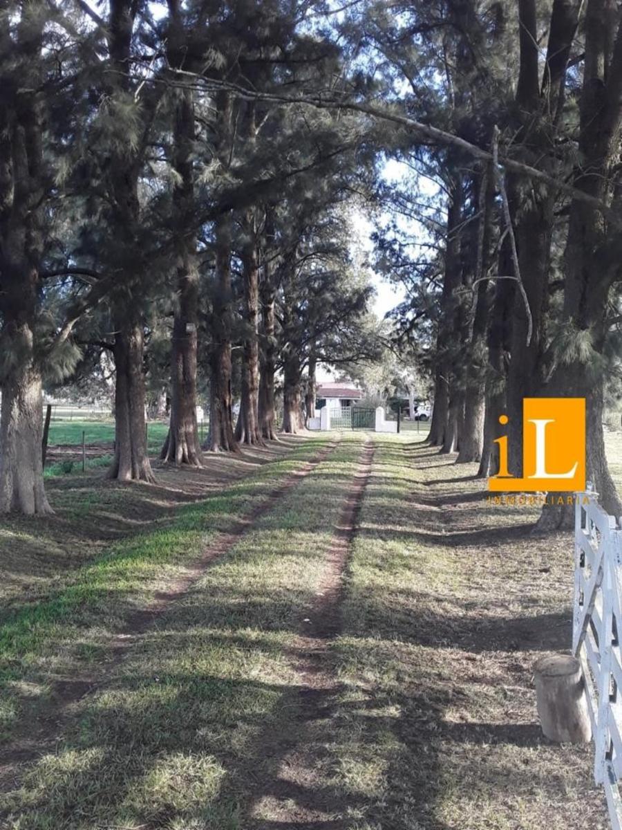 13 hectareas con mejoras en Loma Verde, sobre Ruta 215. - 8