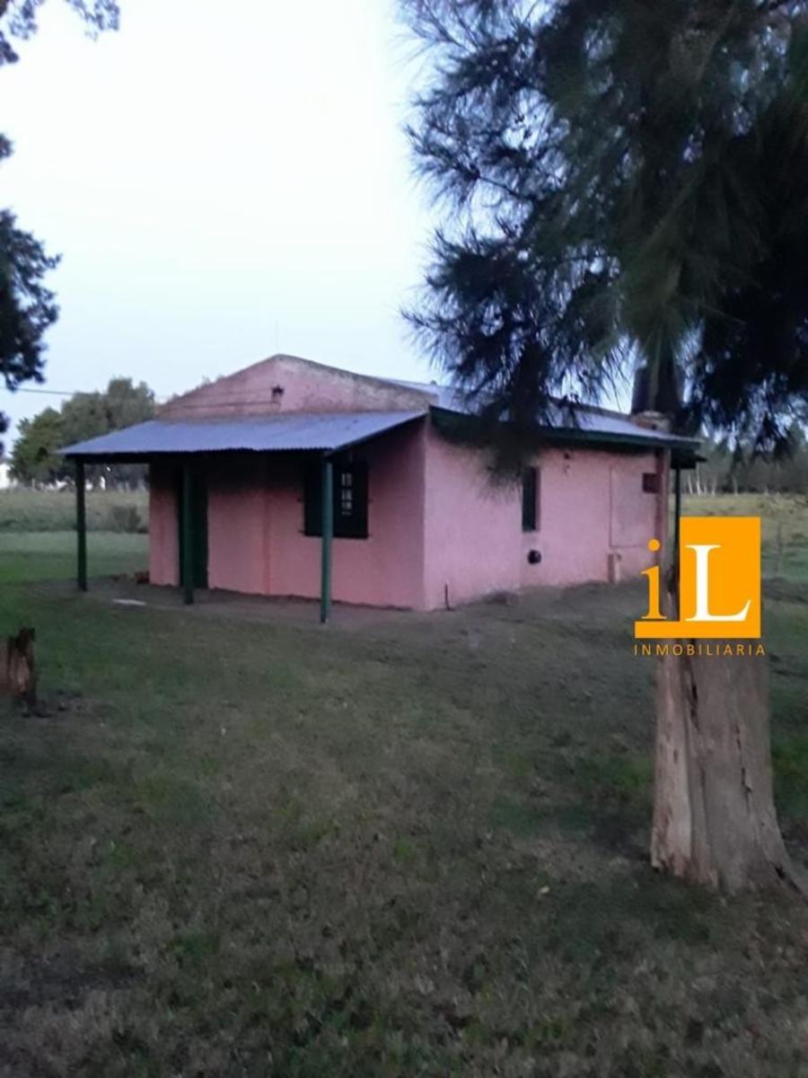 13 hectareas con mejoras en Loma Verde, sobre Ruta 215. - 11