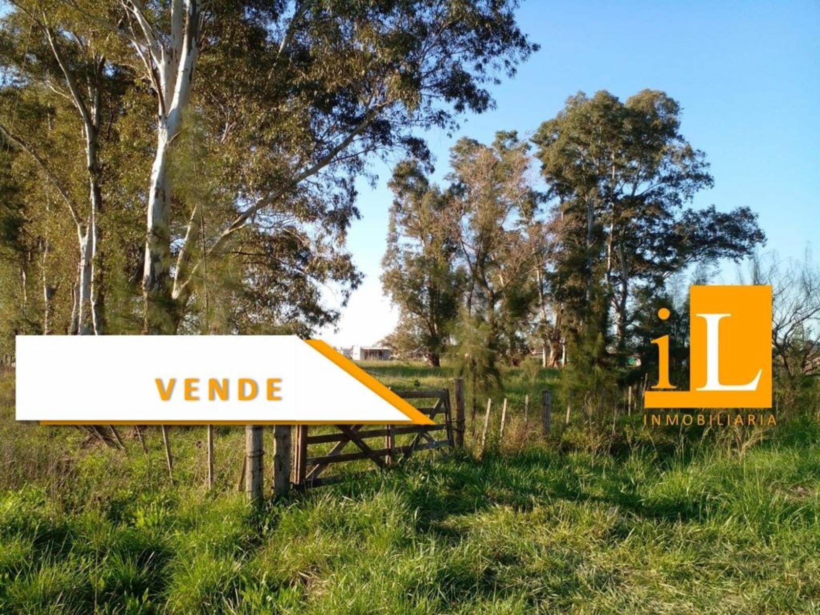 LOTEO SOBRE RUTA 210 - 1
