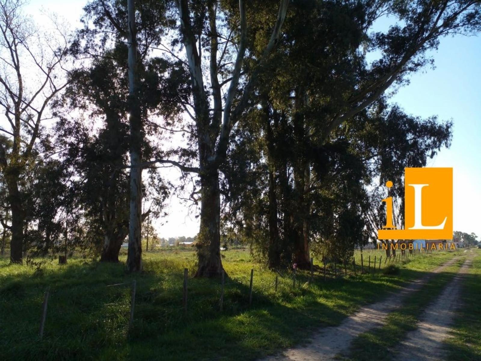 LOTEO SOBRE RUTA 210 - 5