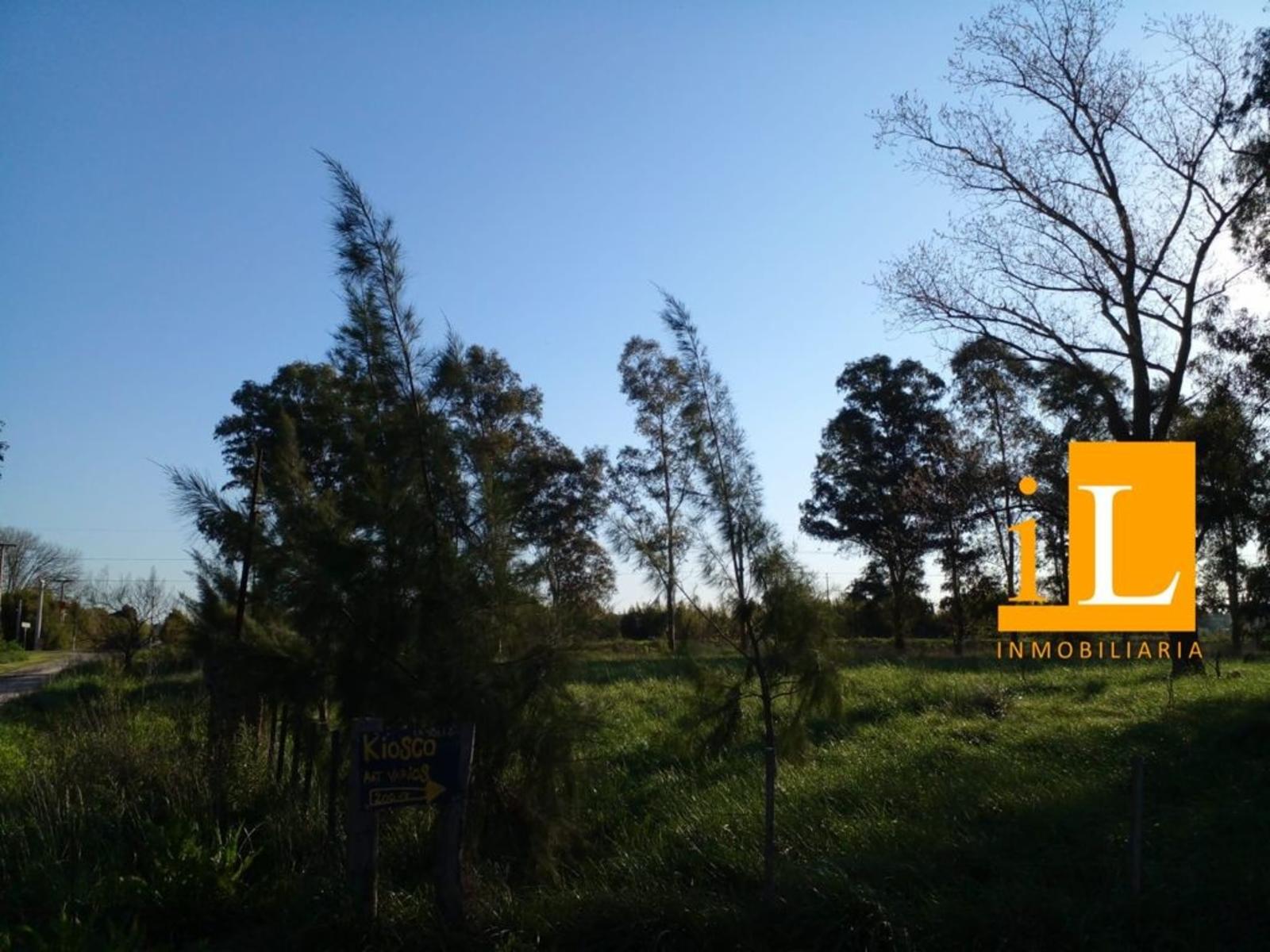 LOTEO SOBRE RUTA 210 - 6
