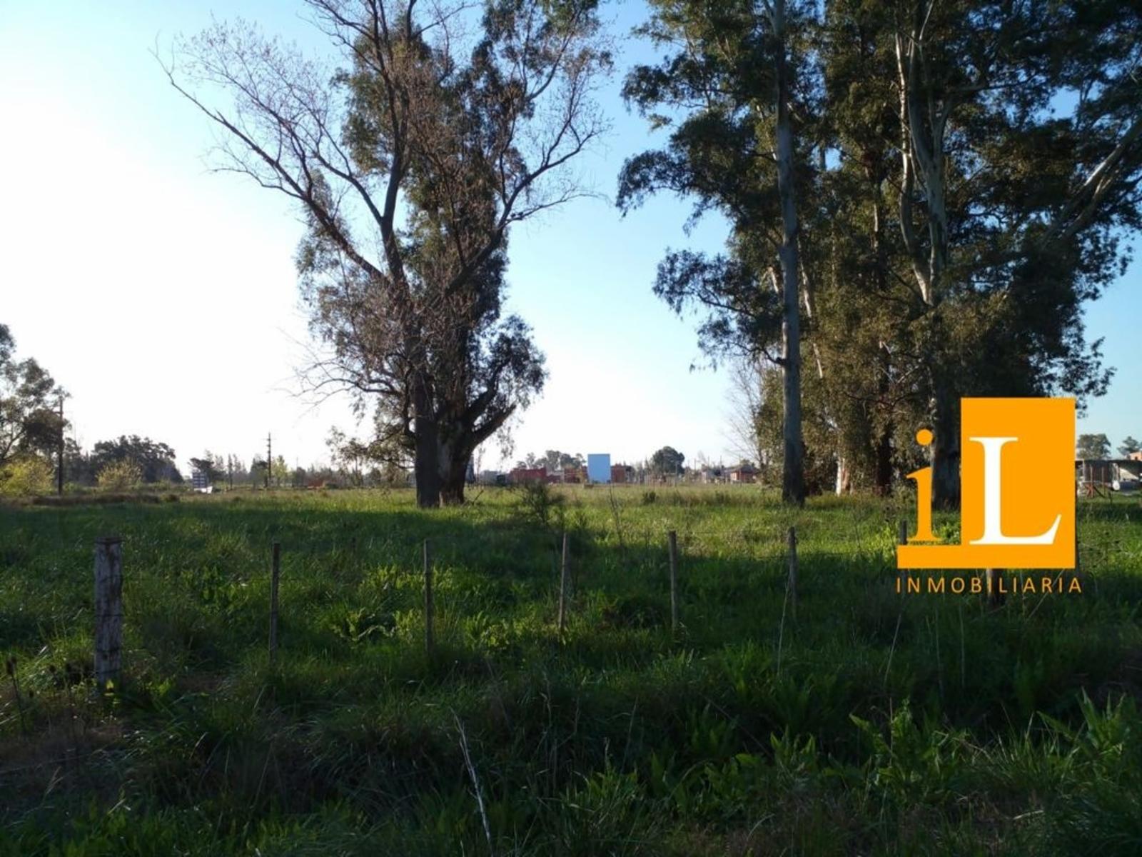 LOTEO SOBRE RUTA 210 - 9