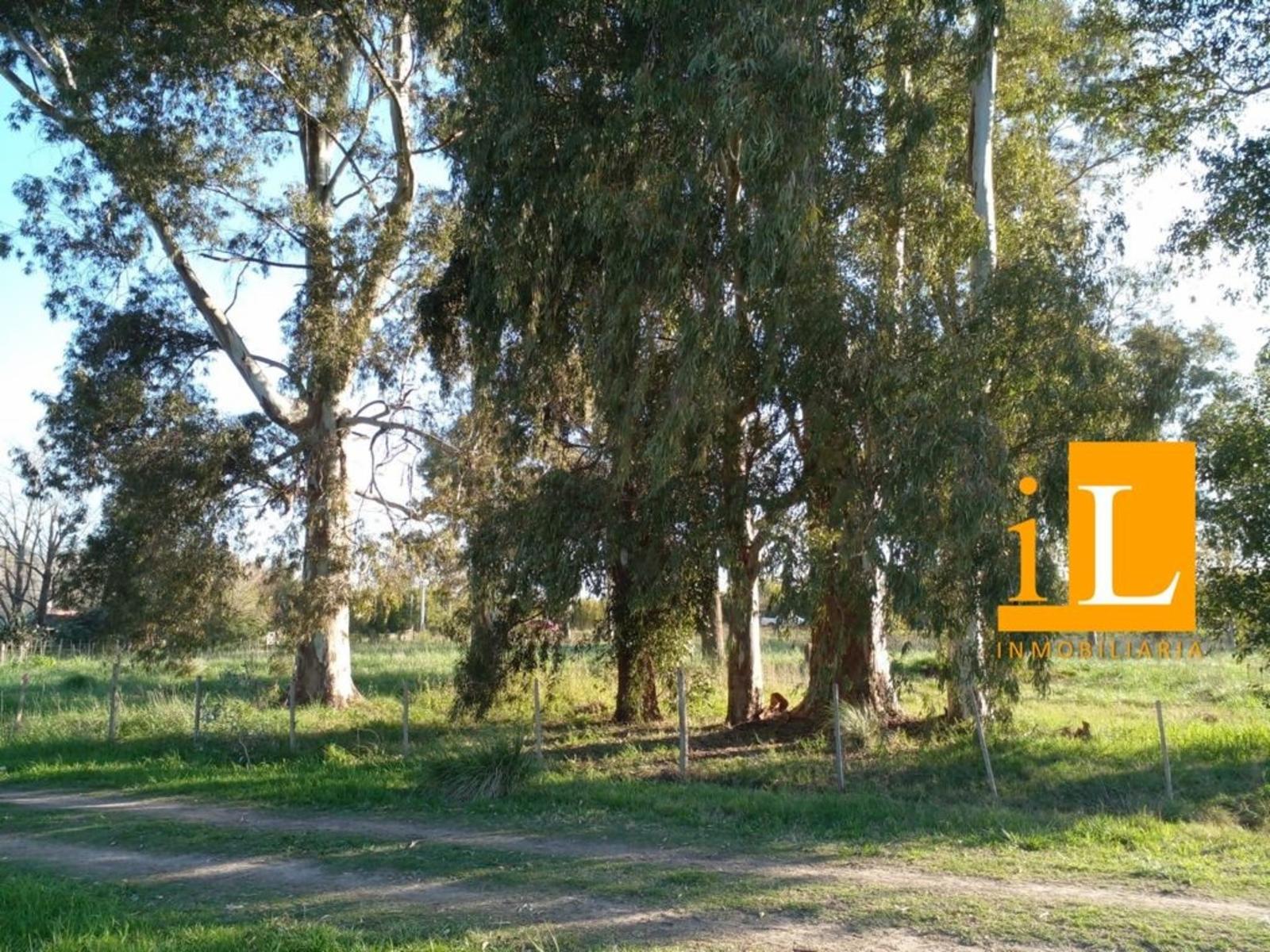 LOTEO SOBRE RUTA 210 - 10