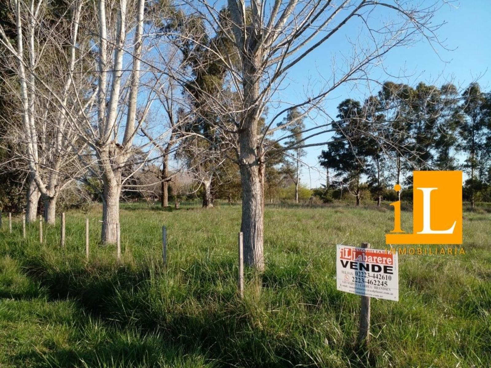 LOTEO SOBRE RUTA 210 - 11