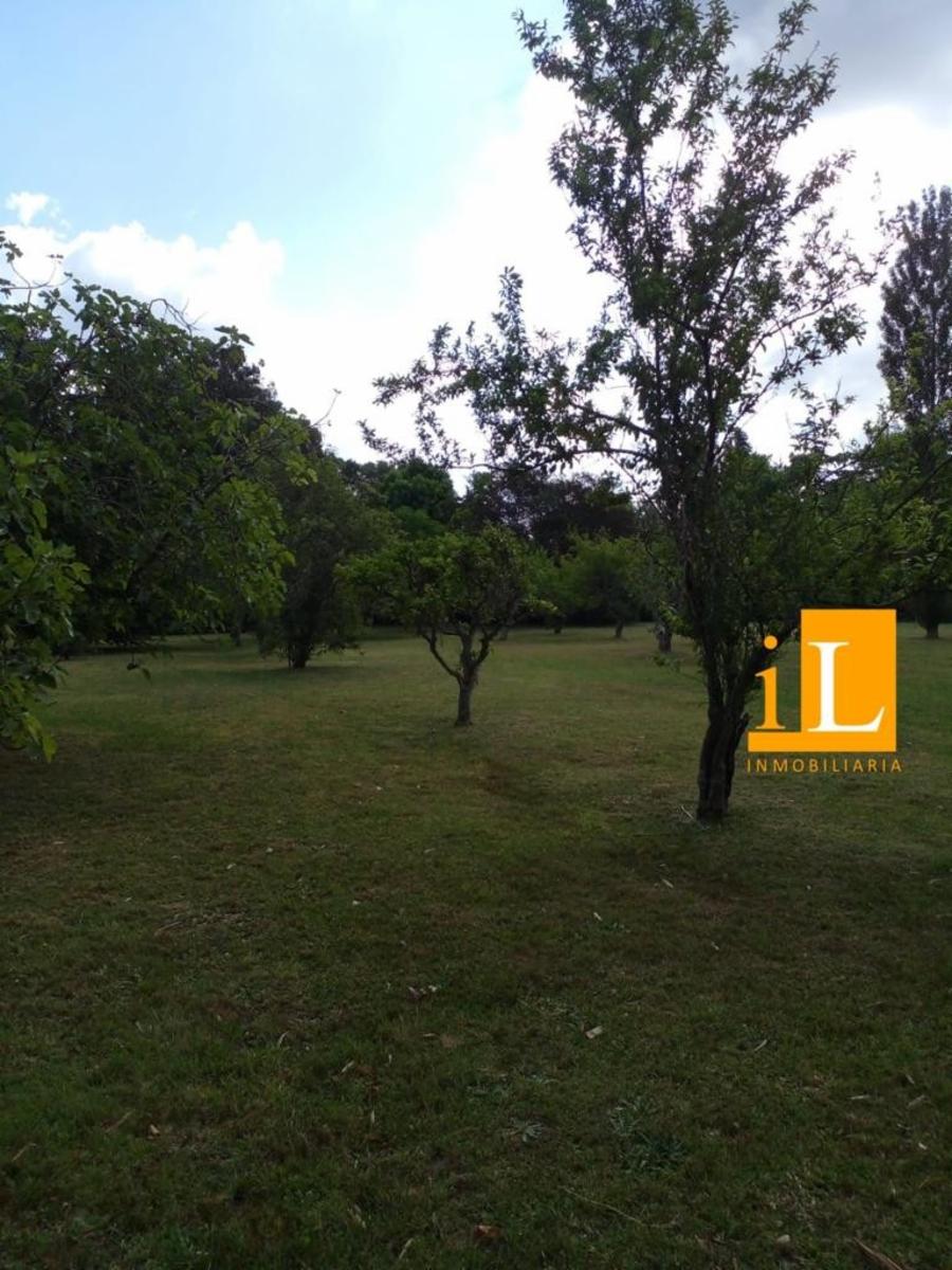 QUINTA EN Bº MENDIZABAL - 14