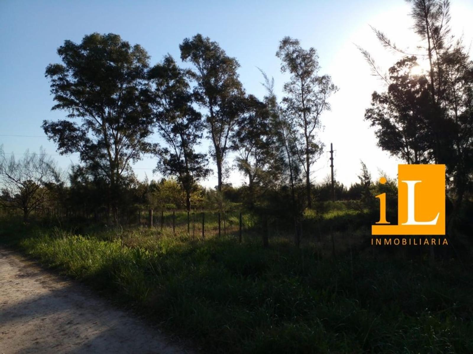 LOTES SOBRE RUTA 210 - CNEL. BRANDSEN. - 4