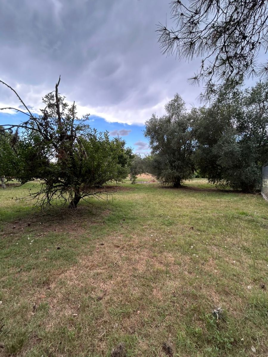 LOTE EN Bº MENDIZABAL - BRANDSEN - 3