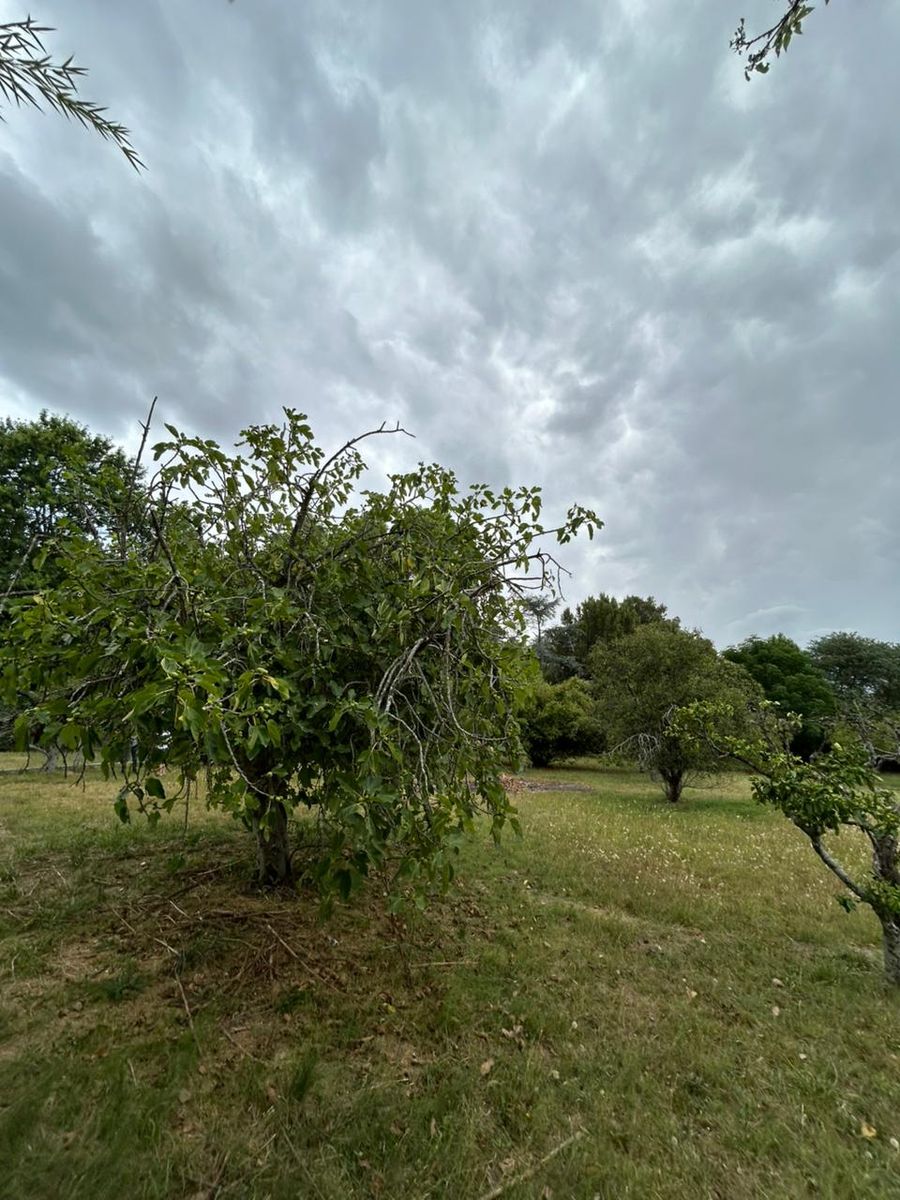 LOTE EN Bº MENDIZABAL - BRANDSEN - 6