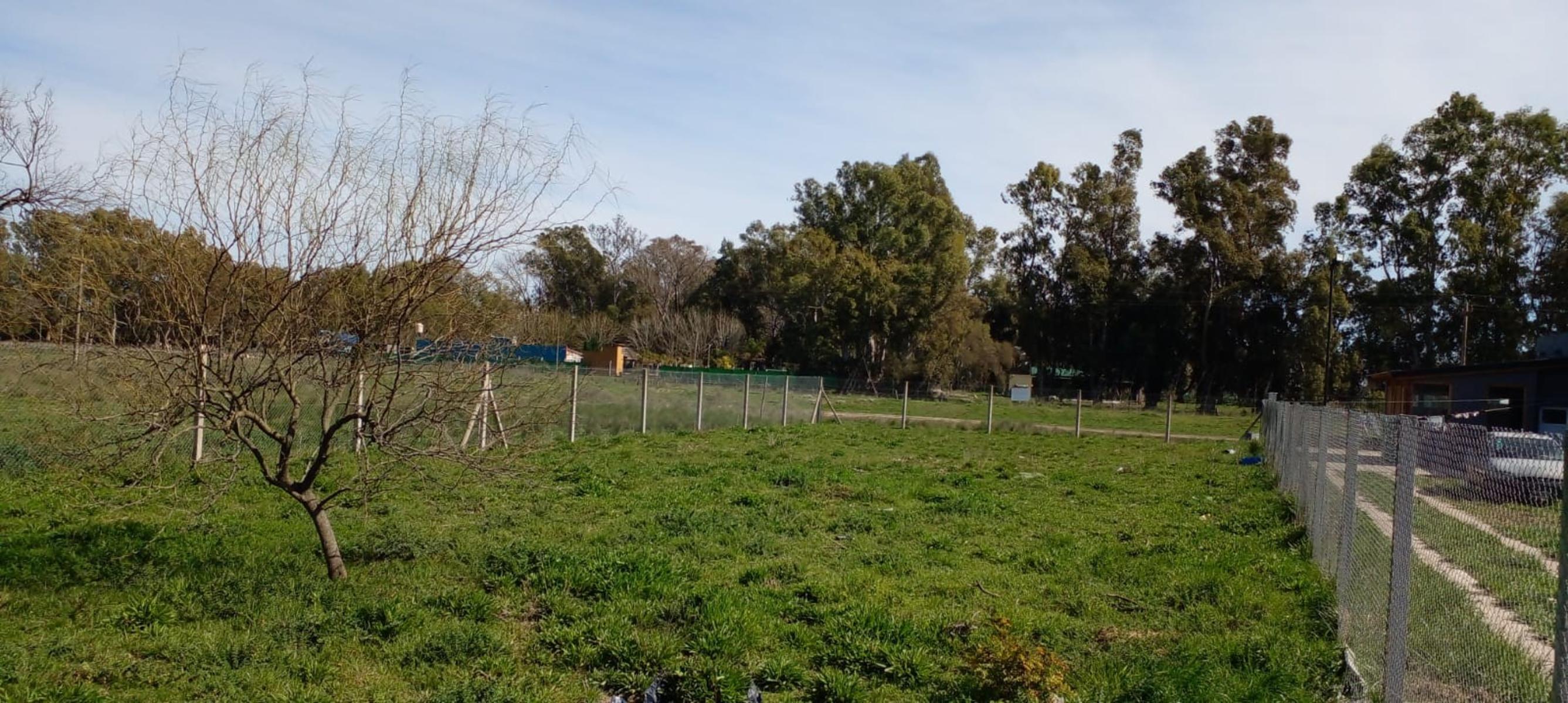 LOTE CON ESCRITURA EN Bº LA PARADA - CNEL. BRANDSEN — foto 4