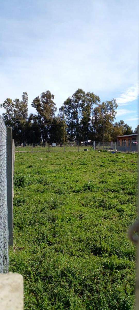 LOTE CON ESCRITURA EN Bº LA PARADA - CNEL. BRANDSEN — foto 8
