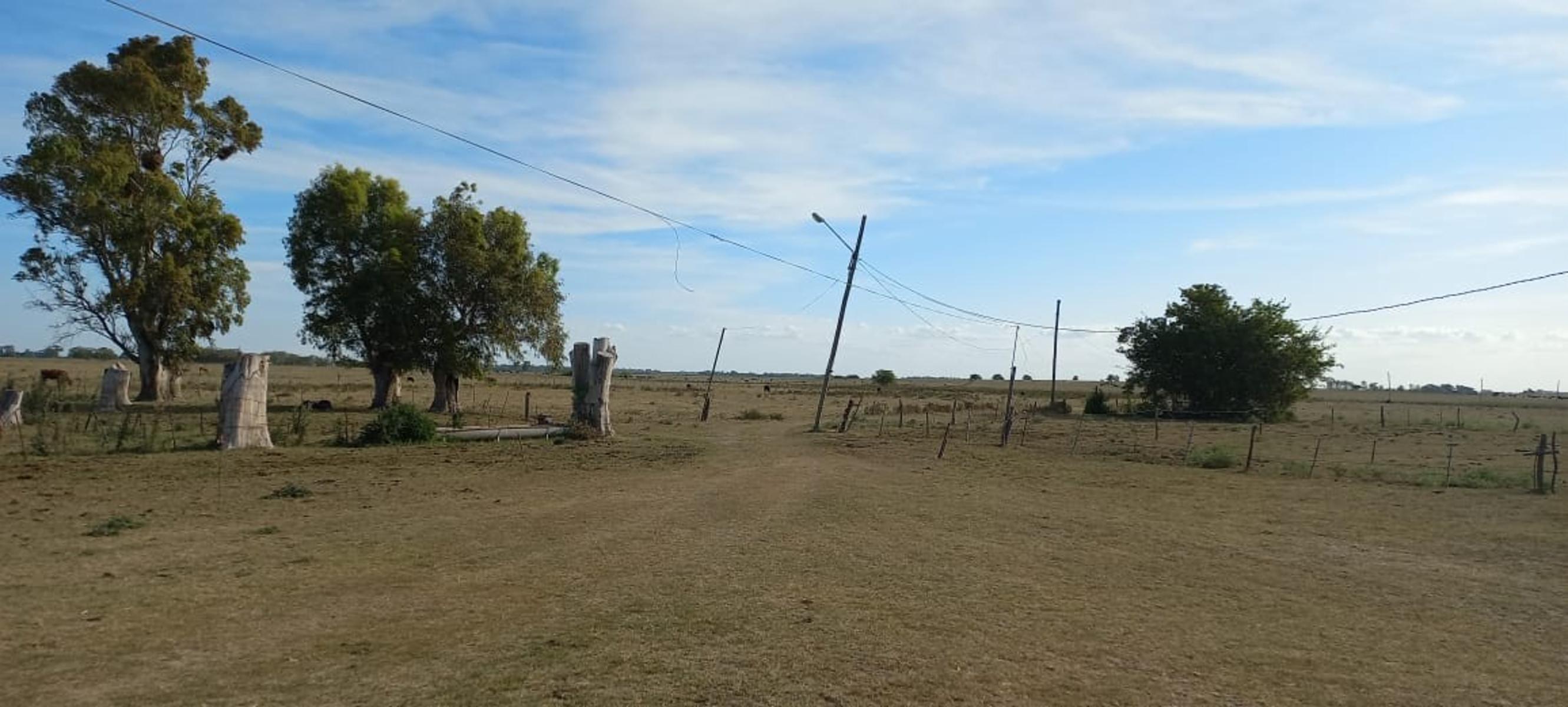 VENTA DE CAMPO EN LA PLATA