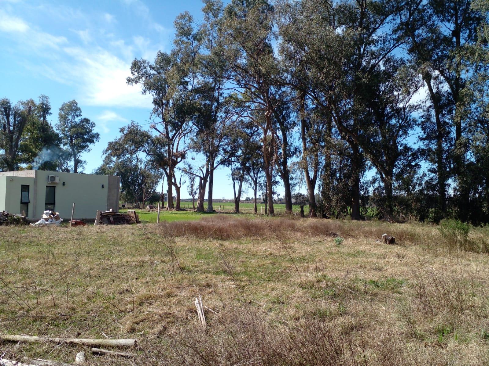 LOTE ARBOLADO CON ESCRITURA EN Bº LA PARADA - BRANDSEN — foto 3