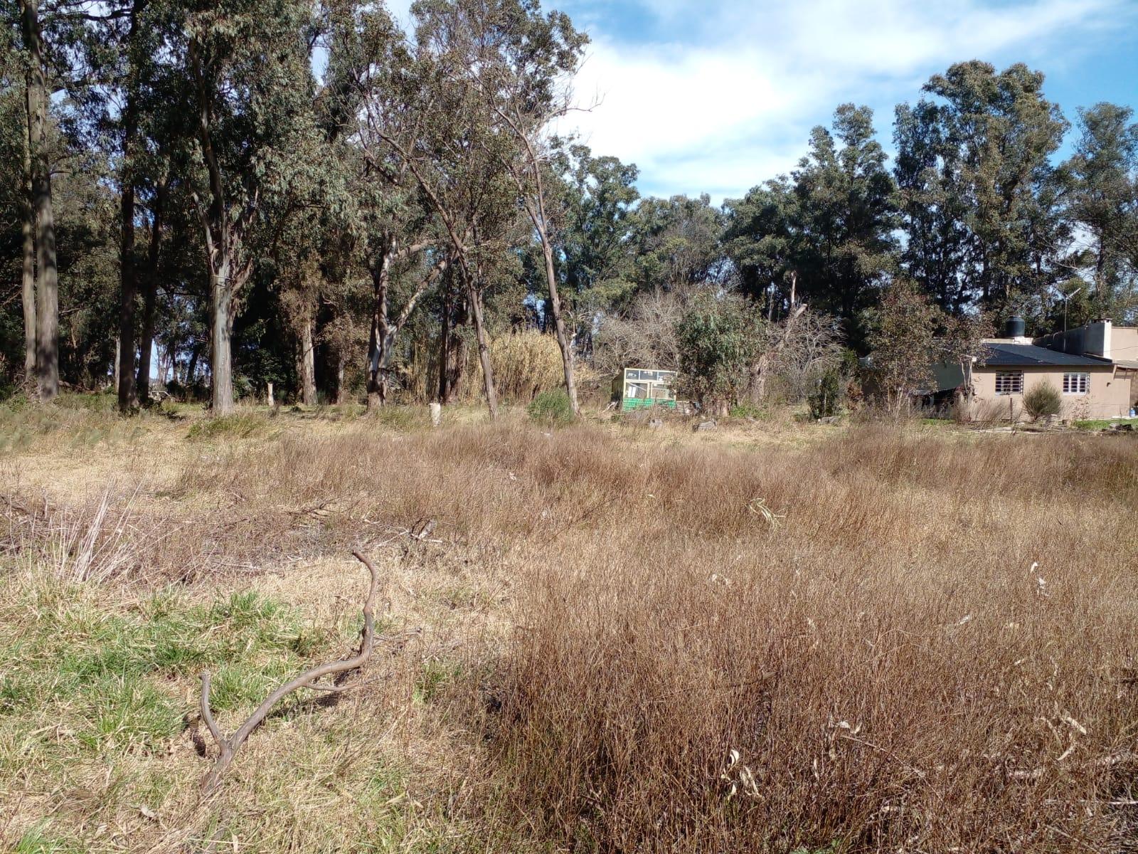 LOTE ARBOLADO CON ESCRITURA EN Bº LA PARADA - BRANDSEN — foto 5