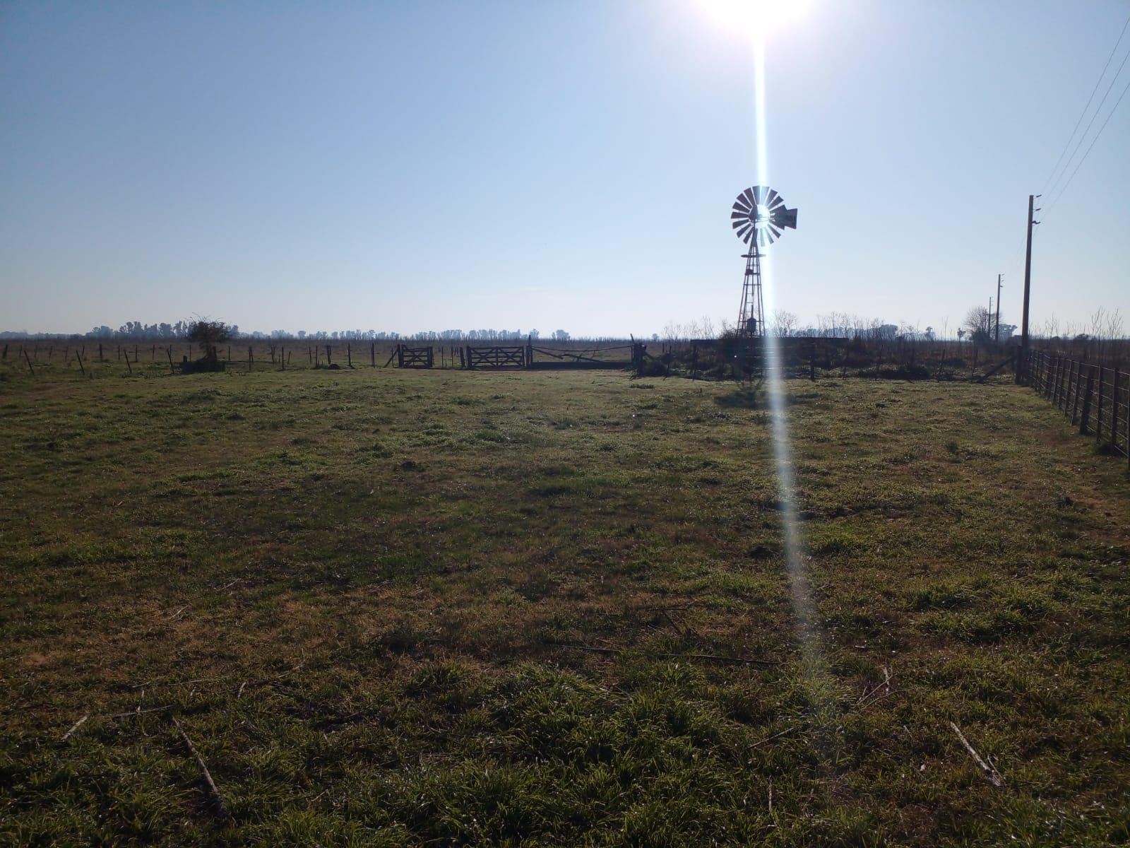 CAMPO EN PARTIDO DE SAN VICENTE — foto 2