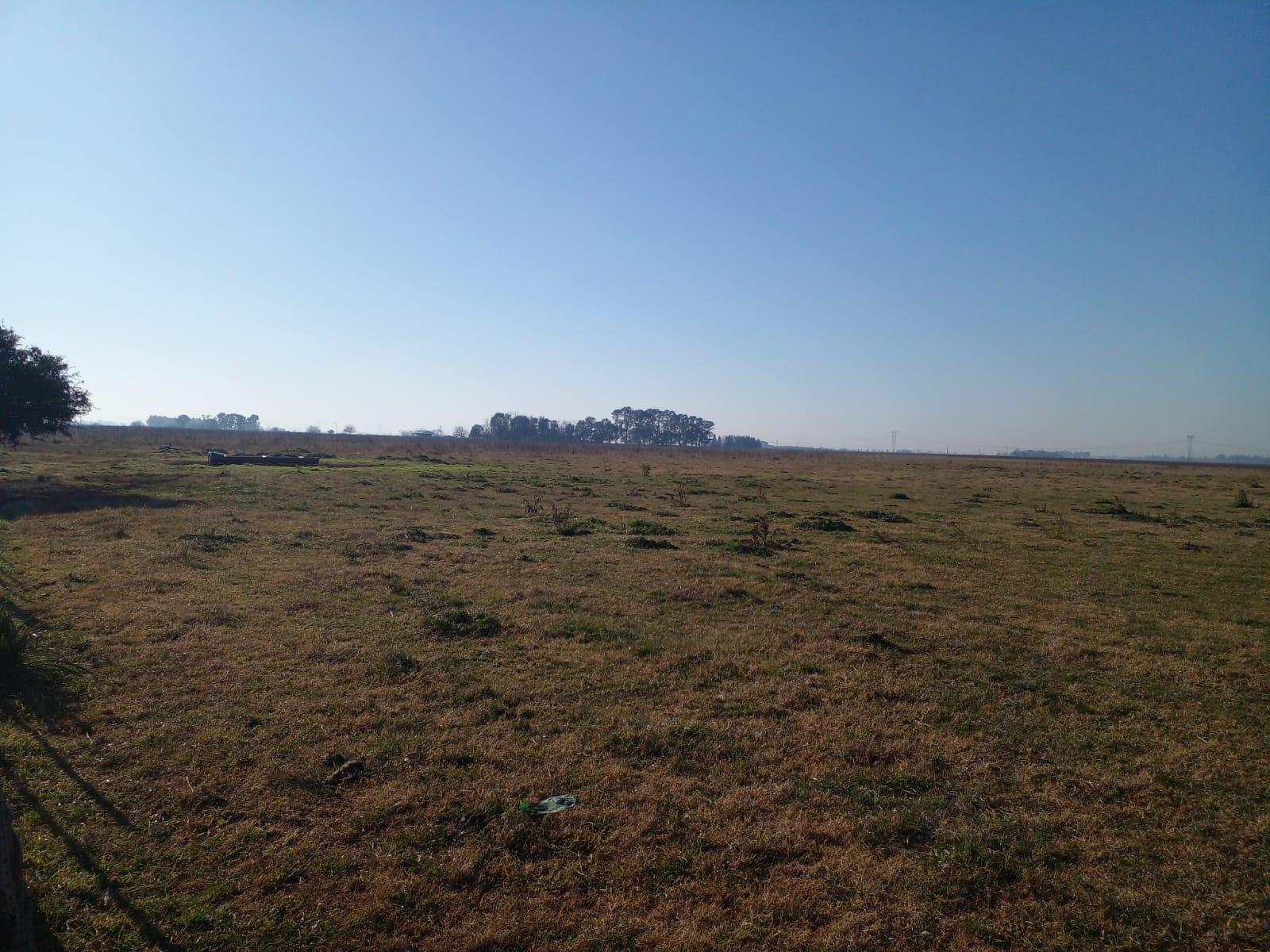 CAMPO EN PARTIDO DE SAN VICENTE — foto 4