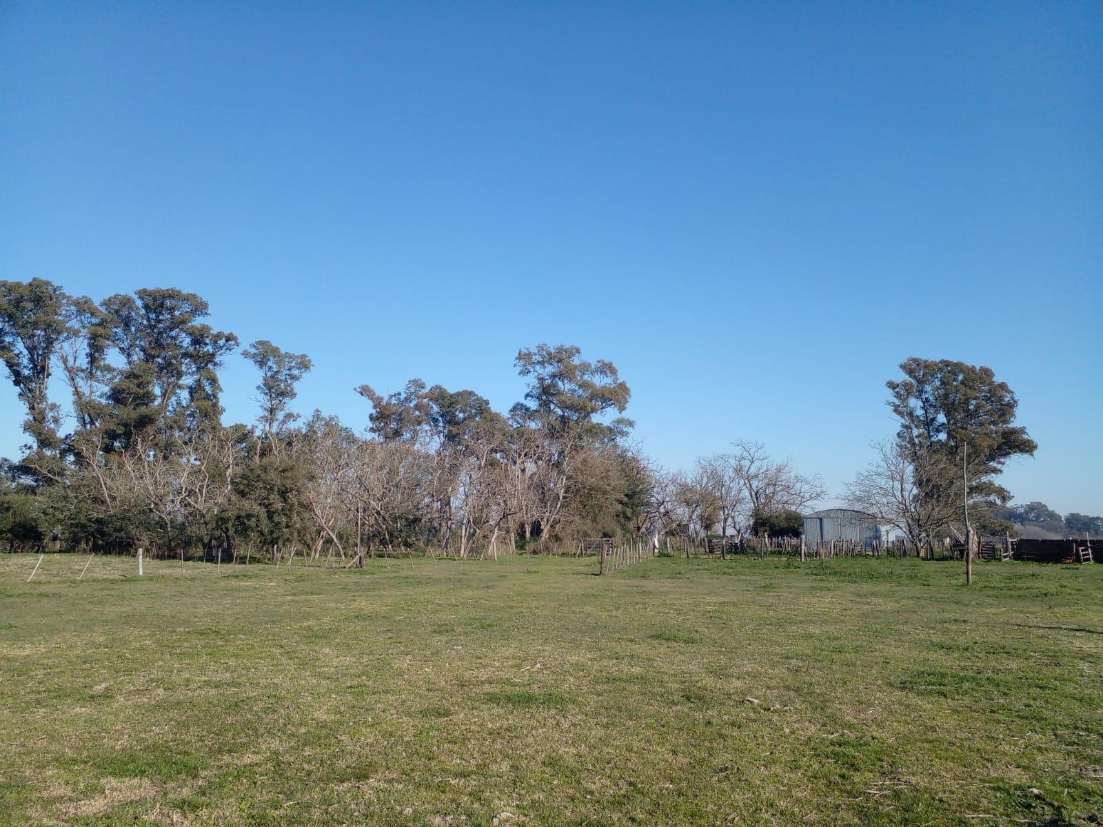 CAMPO EN PARTIDO DE SAN VICENTE — foto 7