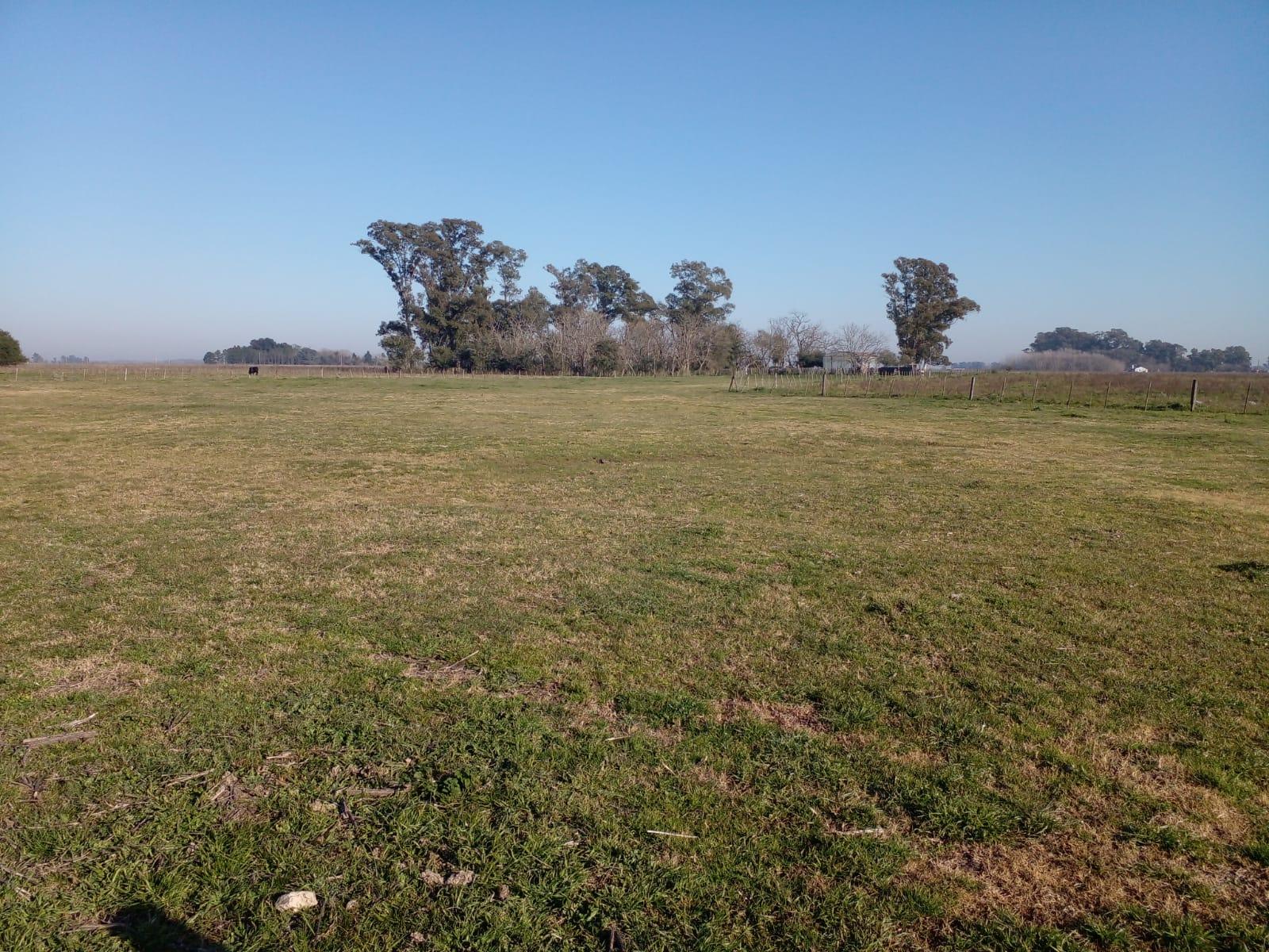 CAMPO EN PARTIDO DE SAN VICENTE — foto 8