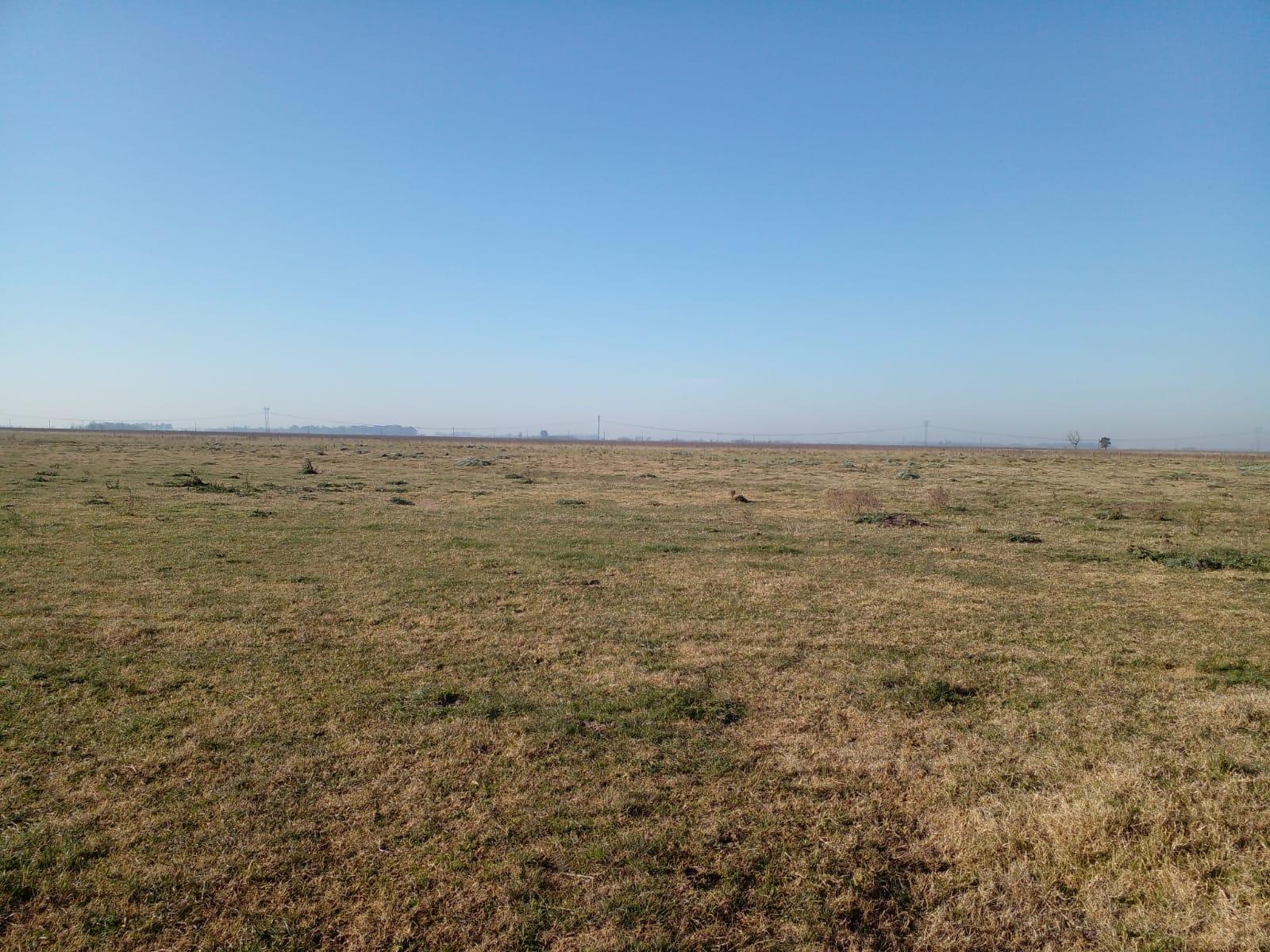 CAMPO EN PARTIDO DE SAN VICENTE — foto 9