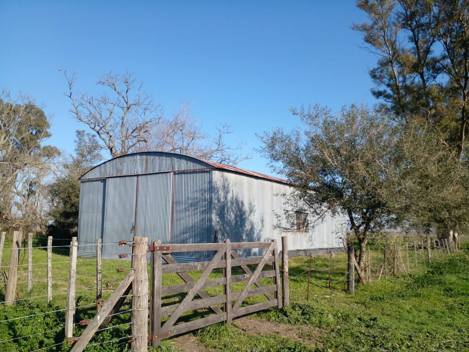 CAMPO EN PARTIDO DE SAN VICENTE — foto 13