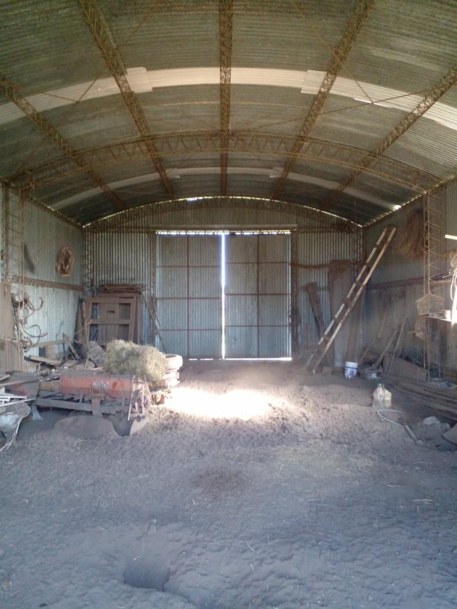 CAMPO EN PARTIDO DE SAN VICENTE — foto 14