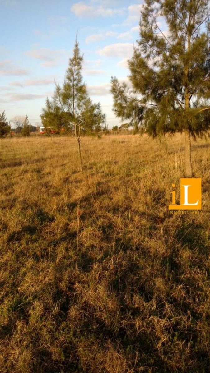 LOTES CON FINANCIACION EN Bº LAS ACACIAS - SOBRE RUTA 210 - BRANDSEN — foto 7