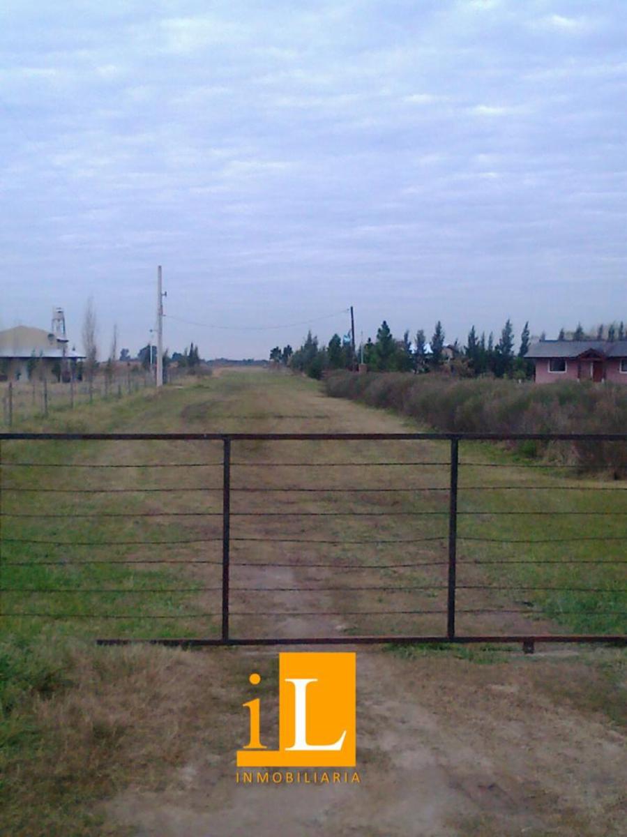 HECTAREAS SOBRE RUTA 215 EN LOMA VERDE - 3