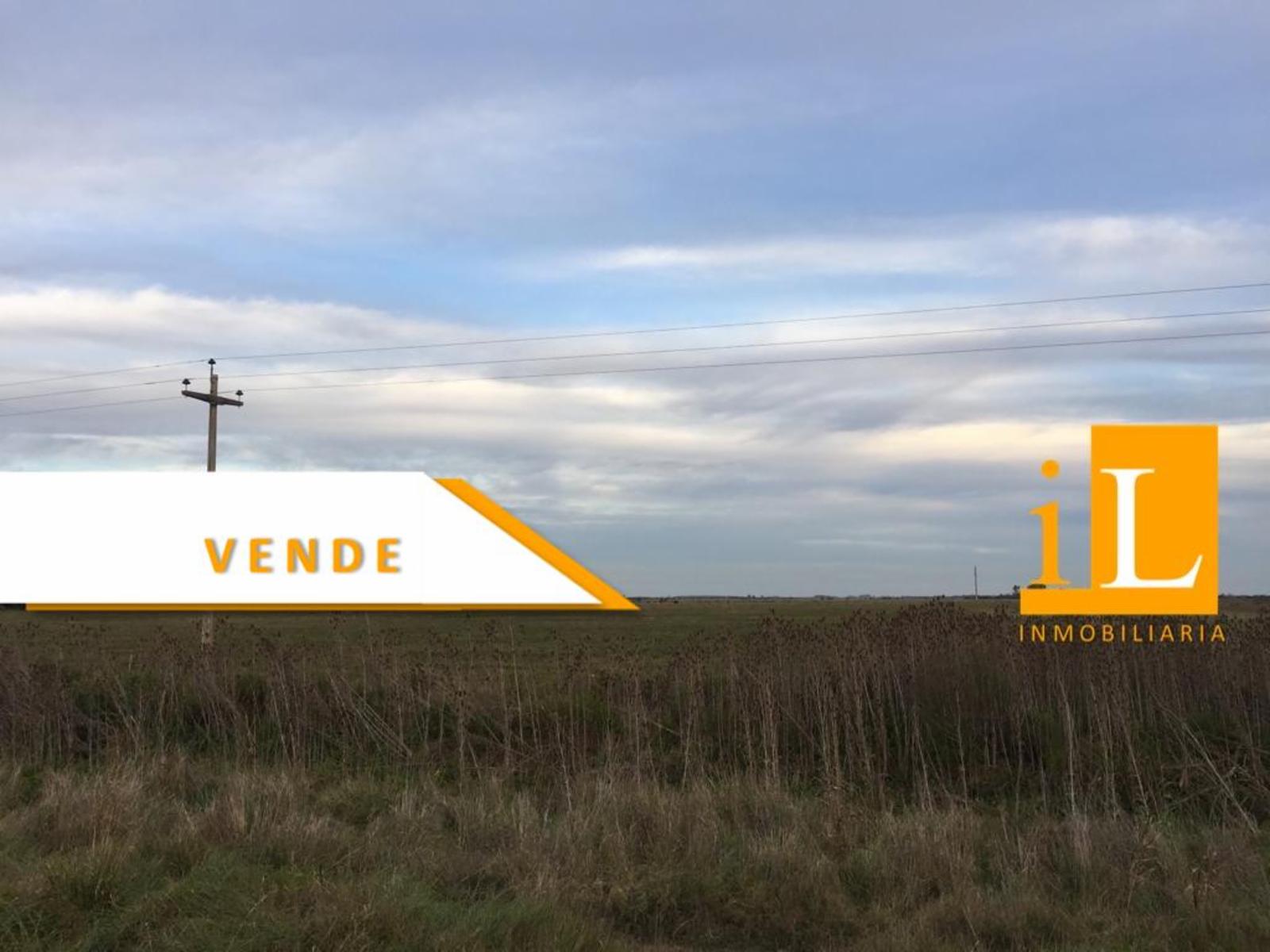 HECTAREAS SOBRE RUTA 215 EN LOMA VERDE - 4