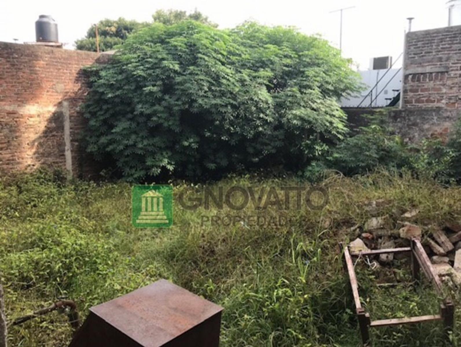 LOTE CON PROPIEDAD AL FRENTE CON FONDO LIBRE — foto 6