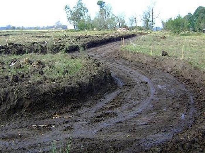 CAMPOS DE VICTORIA CANNING! ULTIMOS 2 LOTES. — foto 3
