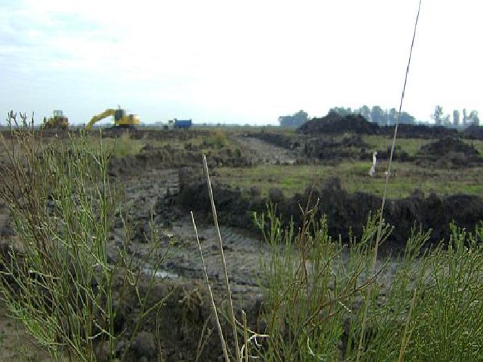CAMPOS DE VICTORIA CANNING! ULTIMOS 2 LOTES. — foto 9