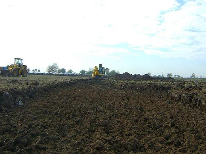 CAMPOS DE VICTORIA CANNING! ULTIMOS LOTES. — foto 5