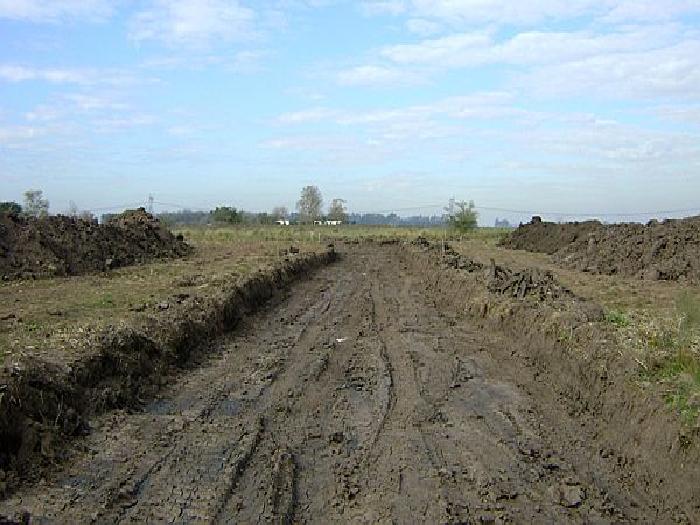 CAMPOS DE VICTORIA CANNING! ULTIMOS LOTES. — foto 11