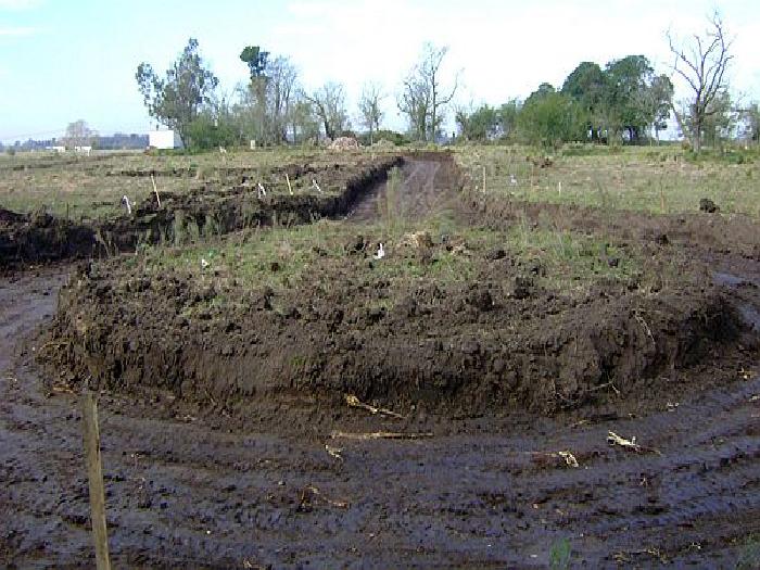 CAMPOS DE VICTORIA CANNING! ULTIMOS LOTES. — foto 9