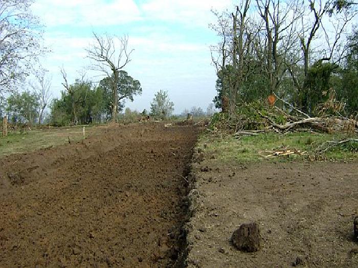 CAMPOS DE VICTORIA CANNING! ULTIMOS LOTES. — foto 6