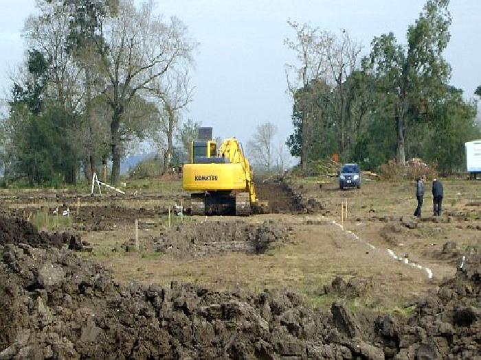 CAMPOS DE VICTORIA CANNING! ULTIMOS LOTES. — foto 10