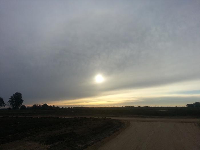 CAMPOS DE VICTORIA CANNING! ULTIMOS LOTES. — foto 6