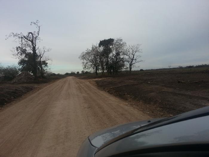 CAMPOS DE VICTORIA CANNING! ULTIMOS LOTES. — foto 10