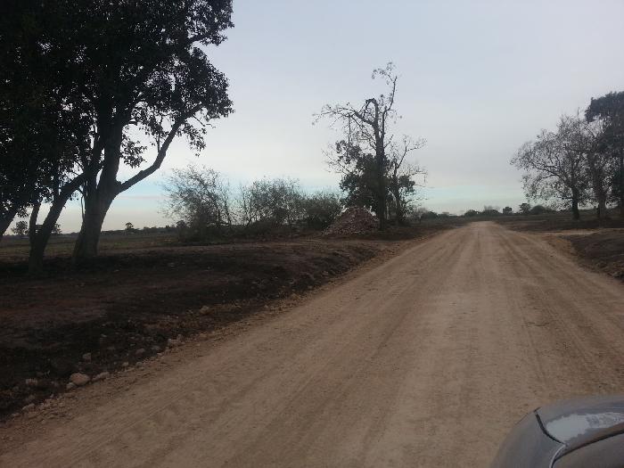 CAMPOS DE VICTORIA CANNING! ULTIMOS LOTES. — foto 8