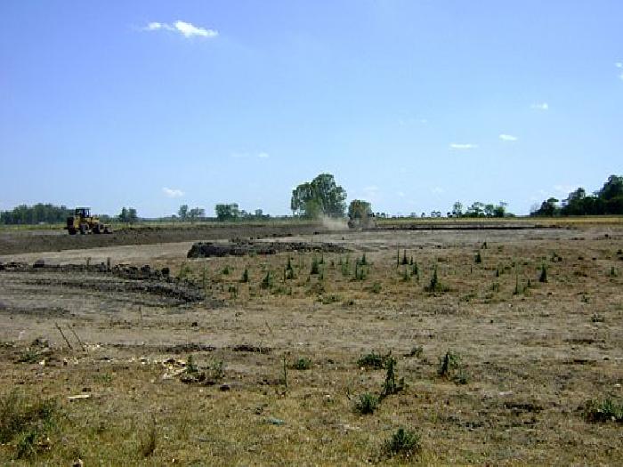 CAMPOS DE VICTORIA CANNING! ULTIMOS LOTES. — foto 2