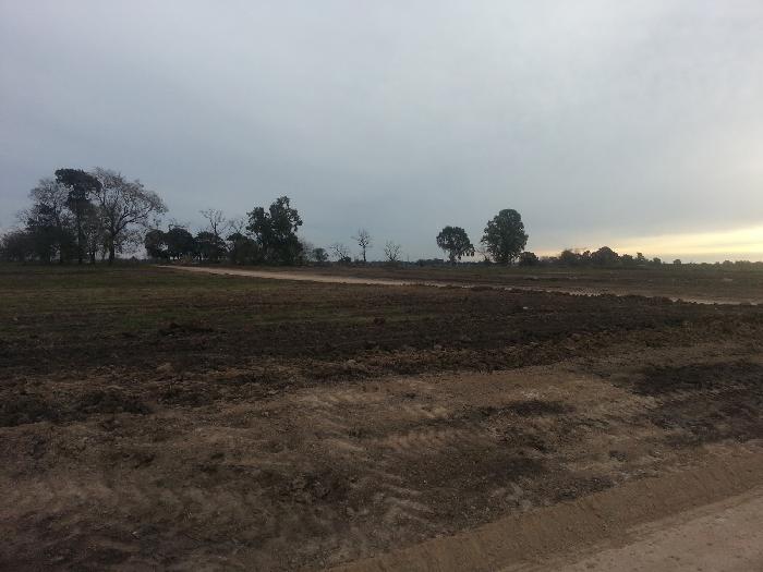 CAMPOS DE VICTORIA CANNING! ULTIMOS LOTES. — foto 11