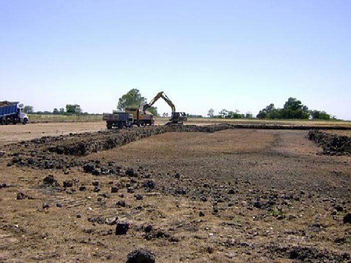 CAMPOS DE VICTORIA CANNING! ULTIMOS LOTES. — foto 3